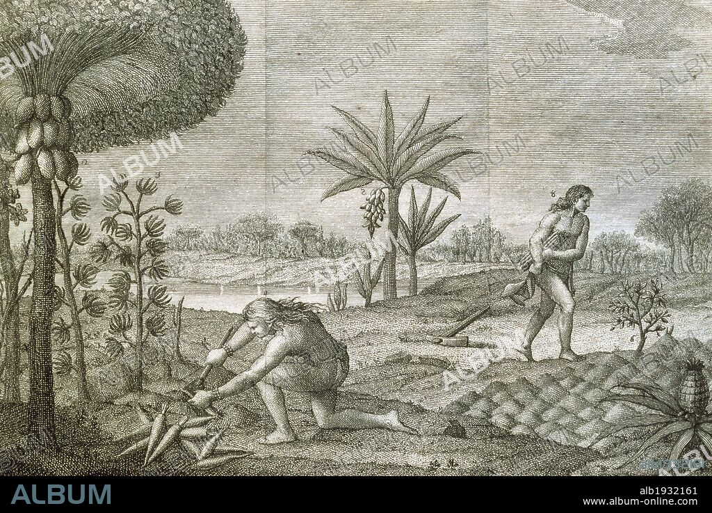 INDIGENAS DE AMERICA DEL SUR. SIGLO XVI-XVIII. Los INDIOS YANOMANOS, habitantes de las cuencas de los rios Amazonas y Orinoco, eran cazadores y las mujeres se dedicaban a la agricultura y sembraban yuca y frutales. El Orinoco fue el primer gran rio descubierto por los españoles en el Tercer Viaje de Colón al Nuevo Mundo (1498). Grabado italiano del año 1780.