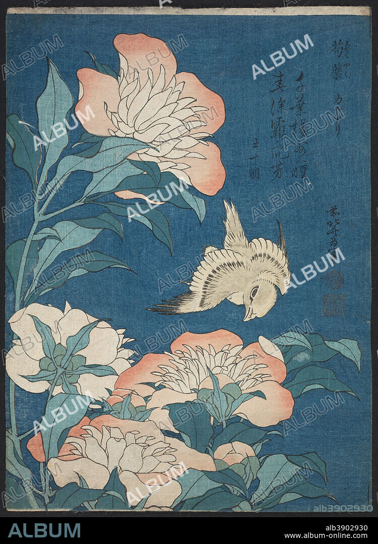 KATSUSHIKA HOKUSAI. Peonies and Canary (Shakuyaku, kanaari), from an untitled series known as Small Flowers. Date/Period: Ca. 1834 (Tenpo 5). Print. Woodblock print (nishiki-e); ink and color on paper. Height: 259 mm (10.19 in); Width: 190 mm (7.48 in).