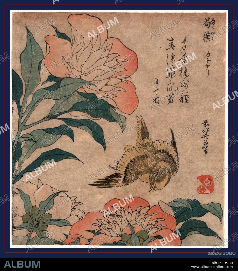 Shakuyaku kana ari, Peony and canary., Katsushika, Hokusai, 1760-1849, artist, [1833 or 1834], 1 print : woodcut, color ; 19.2 x 17.4 cm.