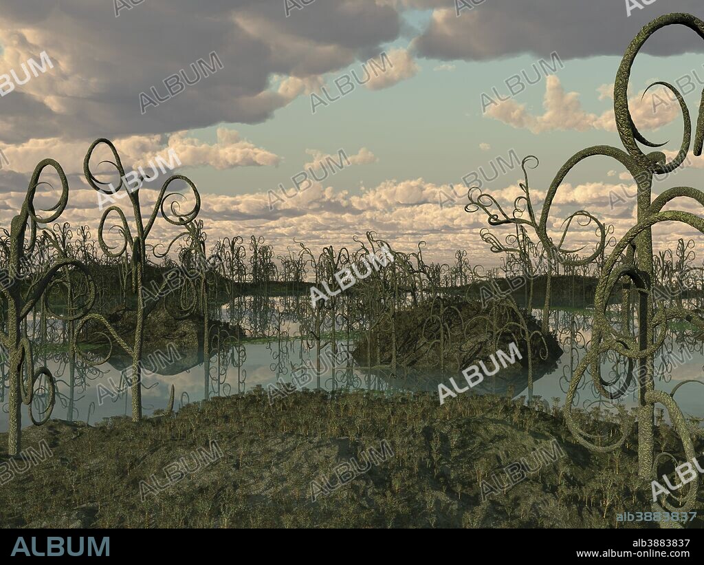 Asteroxylon was a primitive plant that flourished during the Early Devonian period approximately 400 million years ago. It grew as tall as 12 feet and lived in warm, swampy areas.
