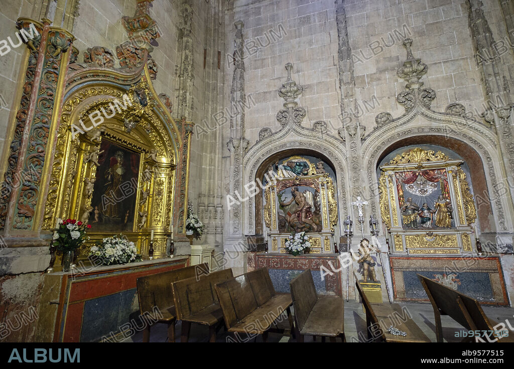 capilla de la Soledad, Catedral de la Asunción de la Virgen, Salamanca, comunidad autónoma de Castilla y León, Spain.