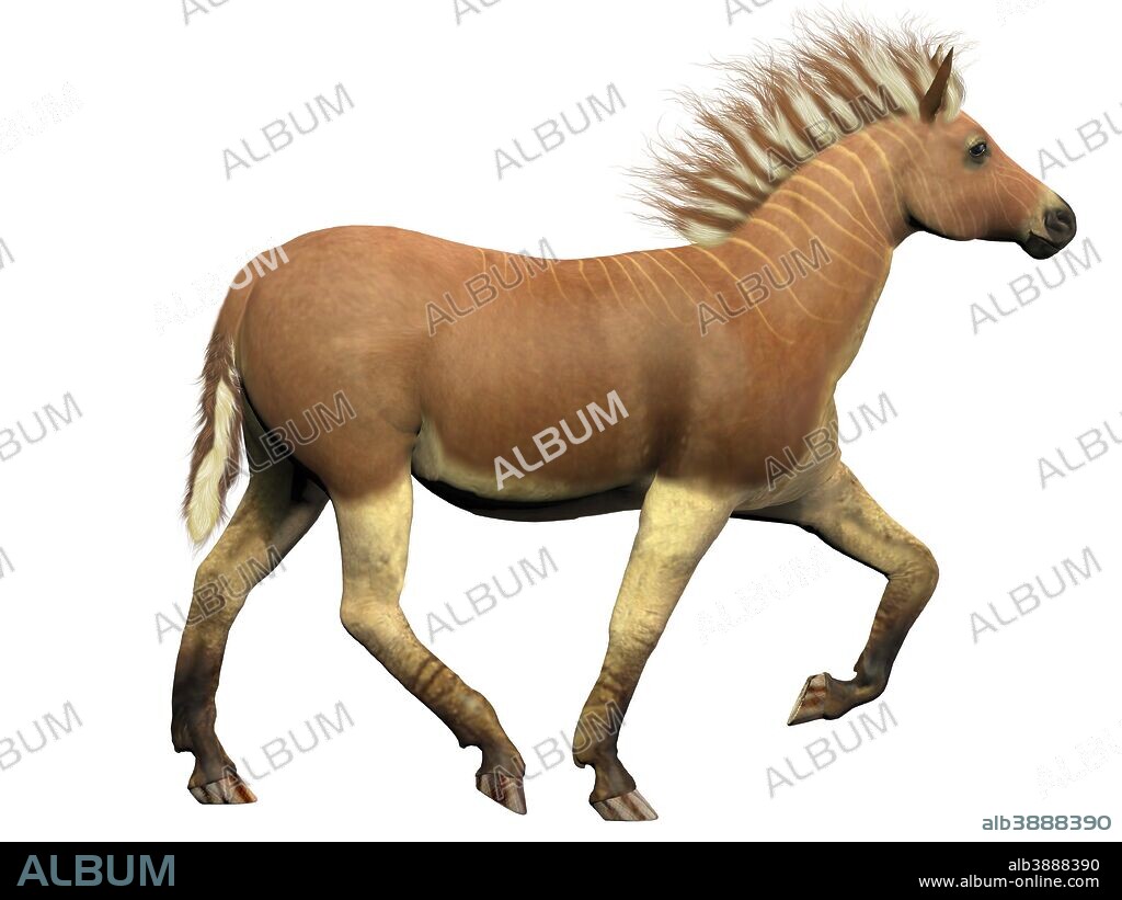 The Quagga is an extinct subspecies of the plains zebra. The quagga went extinct in the 1870's and is more closely related to the zebra than the horse.