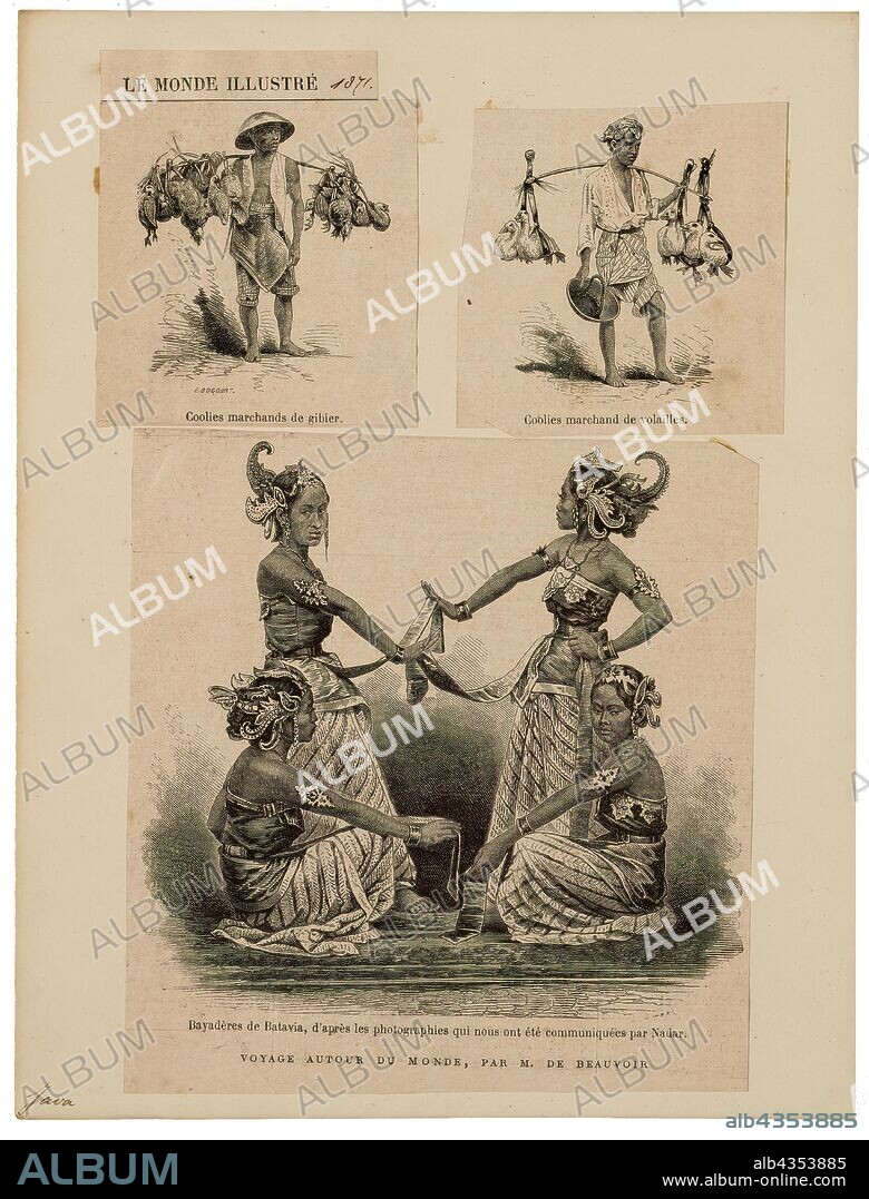 Homo sapiens, Print, Homo sapiens is the only extant human species. The name is Latin for "wise man" and was introduced in 1758 by Carl Linnaeus (who is himself the lectotype for the species)., Java.