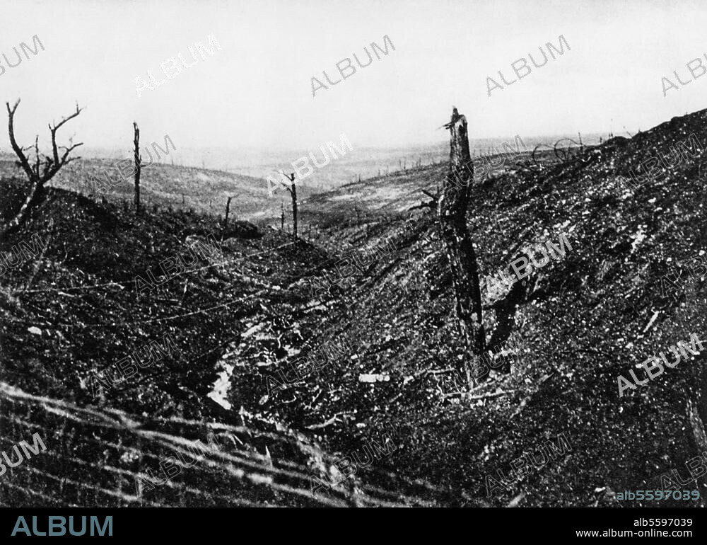 1. Weltkrieg 1914-18 / Westfront:. Schlacht bei Verdun 1916. Der zerstörte Caures-Wald, nördlich der franz. Panzerfeste Fort de Douaumont (am 25.2.1916 von dt. Truppen gestürmt, am 24.10.1916 wieder geräumt). Foto.