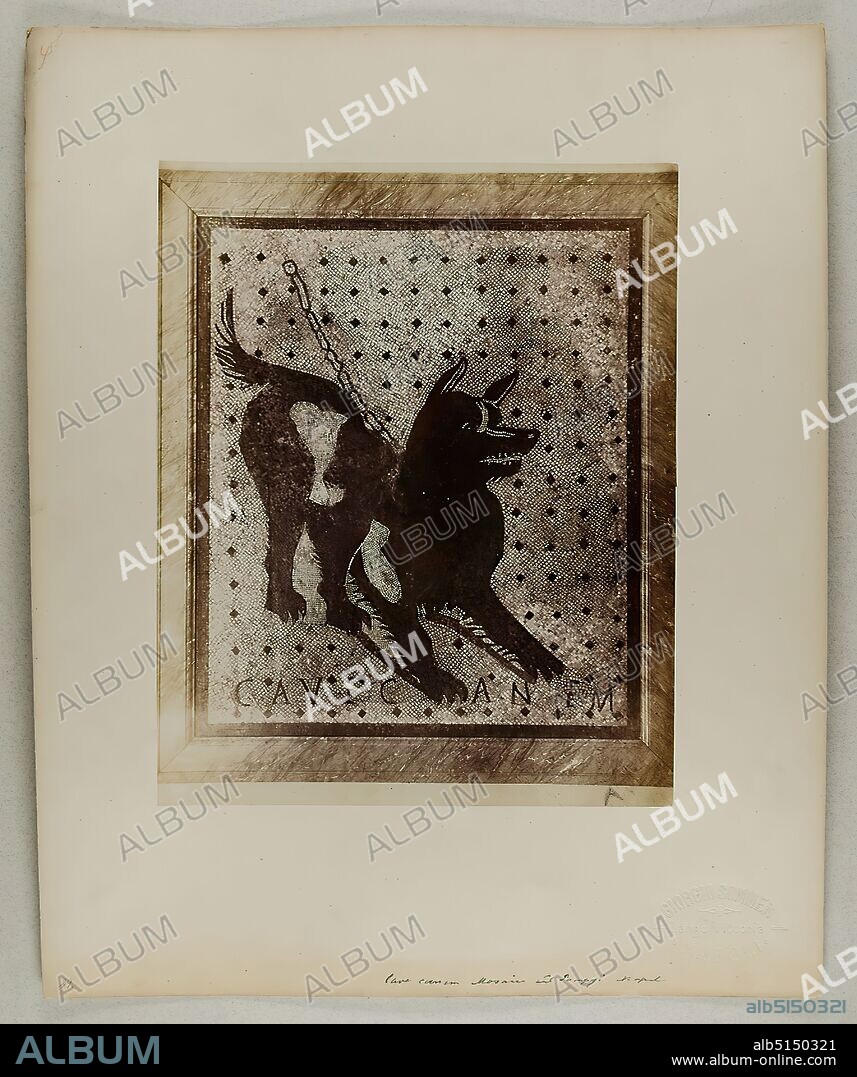 Giorgio Sommer, Cave Canem - mosaic from Pompeii, albumin paper, black and white positive process, sheet size: height: 25.20 cm; width: 20.10 cm, inscribed: recto u. li. exposed: 7508, as well as handwritten on the cardboard: Cave canem mosaic from Pompeii Naples, numbered: 29, dry stamp: recto on the cardboard: GIORGIO SOMMER, Largo Vittoria, NAPOLI, inventory, painting.