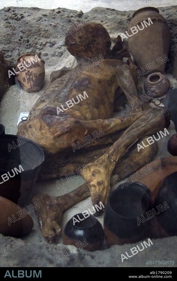 ARTE EGIPCIO. PERIODO PREDINASTICO TARDIO. Tipica TUMBA EGIPCIA con un CUERPO CONSERVADO NATURALMENTE Y RODEADO POR EL AJUAR FUNERA-RIO. Se conservó de manera natural debido al calor seco que desprendía la arena donde fue enterrada. Conocida como "MOMIA GINGER". Fechada hacia el año 3400 a. C. Museo Británico. Londres. Inglaterra. Reino Unido.