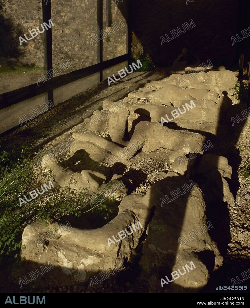 Italy. Pompeii. Plaster casts of victim's bodies at the Garden of the Fugitives. The bodies of 13 people who were buried by the ashes as they attempted to flee Pompeii during the 79 AD eruption of the Vesuvius volcano. Campania.