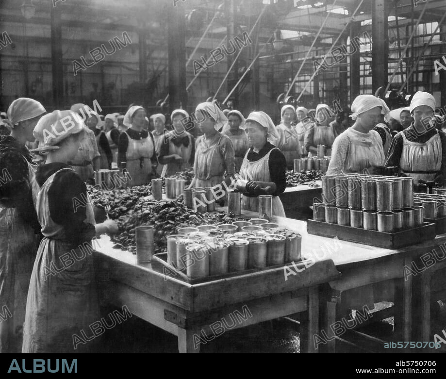 History / World War I 1914 - 1918. Woman working in the canning factory, Berlin. Photo, undated, c. 1916 (Haeckel). Berlin, Sammlung Archiv für Kunst und Geschichte.