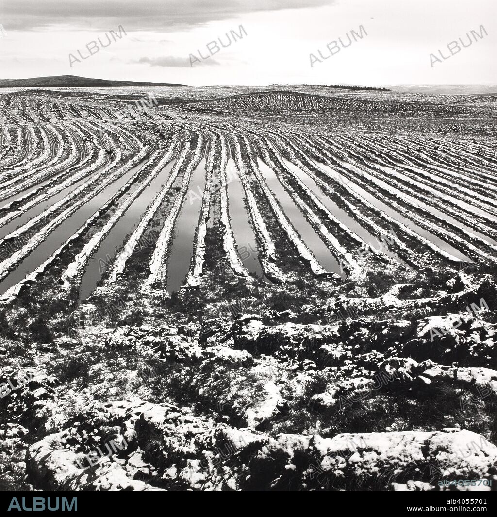 Snow landscape drained for forestry, in Lairg 1989. Snow landscape drained for forestry, in Lairg 1989. From our forbidden land.  Photograph by Fay Godwin. . Source: FG 7080-3-10.