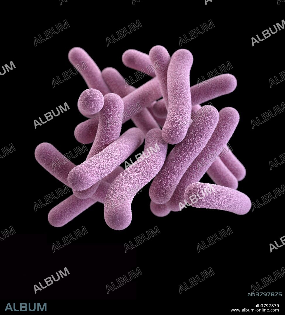 Medical illustration of tuberculosis. Tuberculosis, MTB, or TB (short for tubercle bacillus) is a common, and in many cases lethal, infectious disease caused by various strains of mycobacteria, usually Mycobacterium tuberculosis. Treatment of TB uses antibiotics to kill the bacteria. Effective TB treatment is difficult, due to the unusual structure and chemical composition of the mycobacterial cell wall, which hinders the entry of drugs and makes many antibiotics ineffective. According to the Centers for Disease Control and Prevention, more than two million people in the United States get infections that are resistant to antibiotics and at least 23,000 people die as a result. Over-prescription of antibiotics leads to antibiotic-resistant germs.