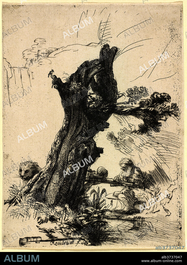 REMBRANDT. Saint Jerome beside a Pollard Willow. Dated: 1648. Dimensions: plate: 17.8 x 13.2 cm (7 x 5 3/16 in.)  sheet: 18.1 x 13.6 cm (7 1/8 x 5 3/8 in.). Medium: etching and drypoint.