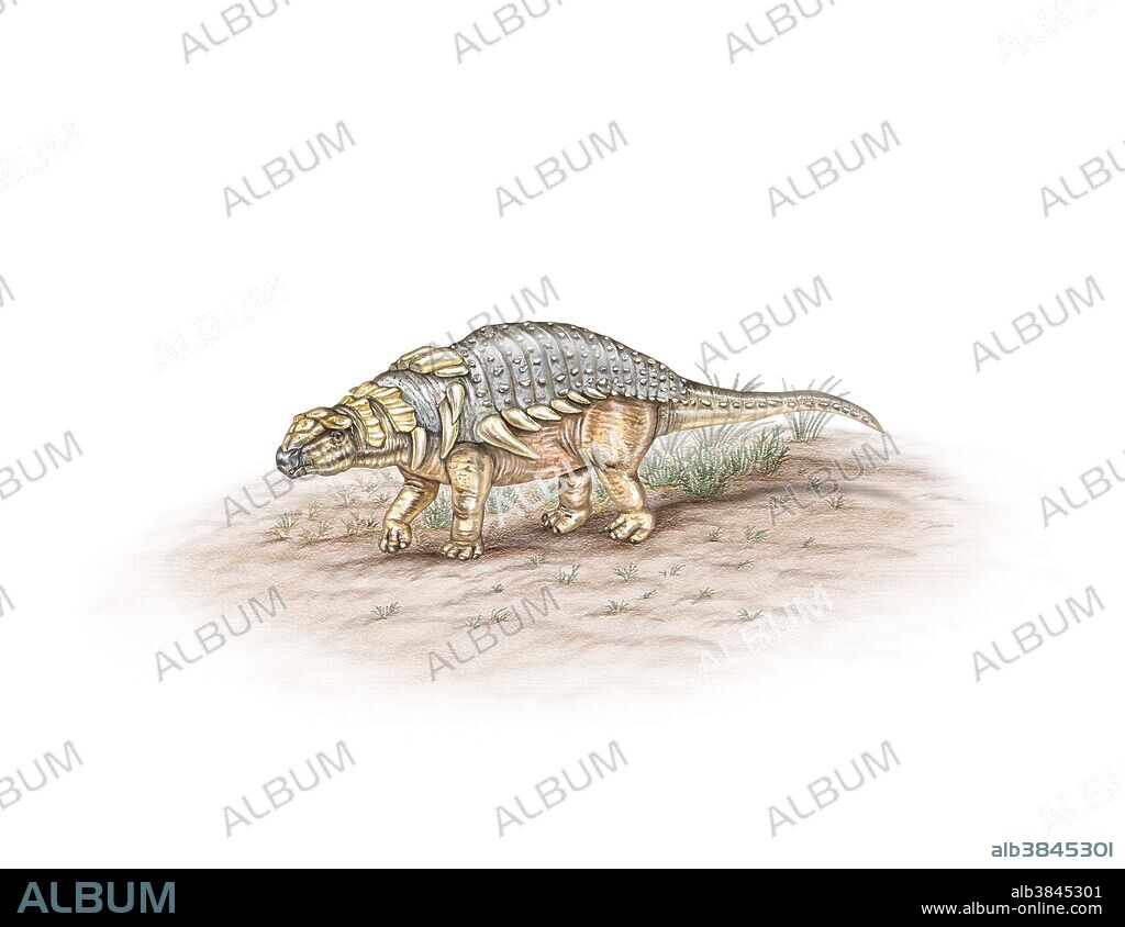 Edmontonia, a Cretaceous plant-eating ankylosaur, was well protected with body armor, and used its tail for defense.