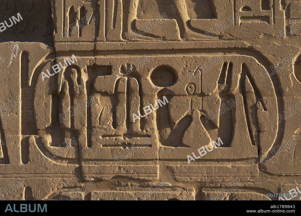 ESCRITURA JEROGLIFICA. EGIPTO. PROTOCOLO REAL de NEBMAATRA-MERIAMON, RAMSES-AMONHIRJOPSHEF-NECHERHEQAIUNU o RAMSES VI. 5º faraón de la Dinastía XX, que reinó del (1143-1136). Los CARTUCHOS O ANILLOS REALES eran el conjunto de nombres o títulos que asumía el rey en el momento de su ascensión al trono. TEMPLO DE KARNAK. Noroeste de Luxor. Egipto. IMPERIO NUEVO.