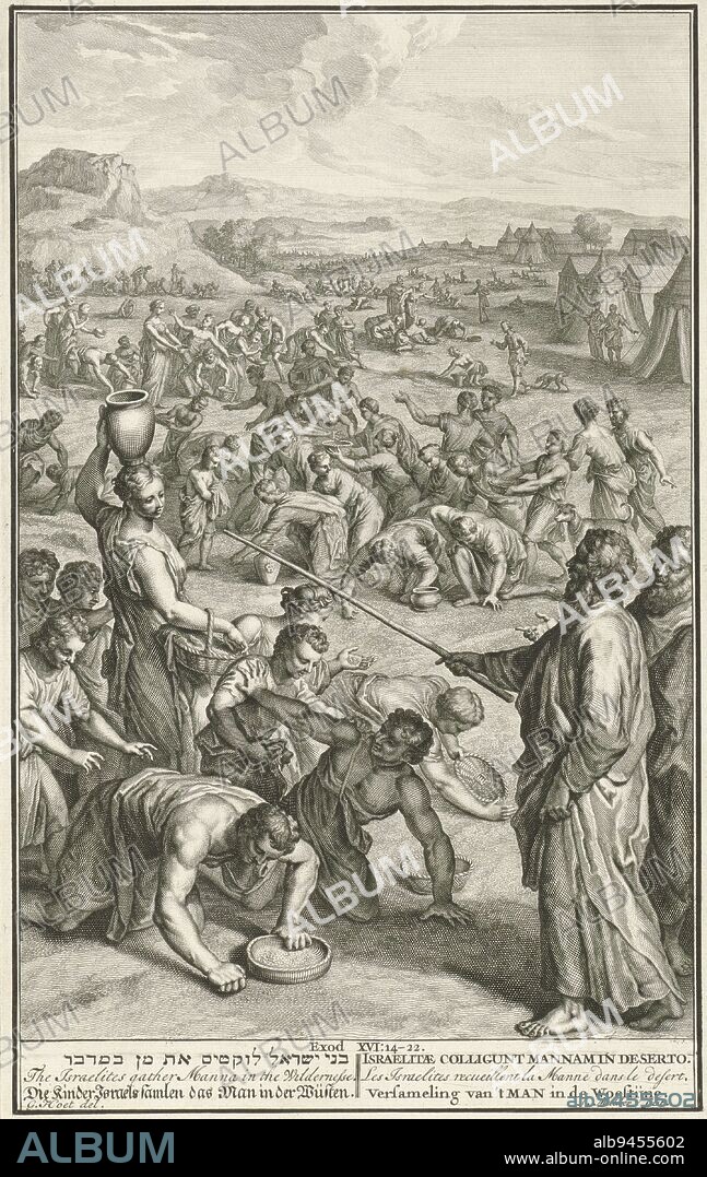Gathering the manna, Joseph Mulder, after Gerard Hoet (I), 1720 - 1728, The Israelites gather the manna in pots and baskets. In the foreground right Moses, with his staff, and Aaron. Below in the margin a reference to the Bible text and title in Hebrew, English, German, Latin, French and Dutch., print maker: Joseph Mulder, (mentioned on object), intermediary draughtsman: Gerard Hoet (I), (mentioned on object), Amsterdam, 1720 - 1728, paper, engraving, etching, h 349 mm × w 218 mm.