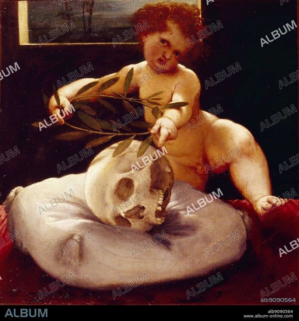 Cherub with a Skull. by Lorenzo Lotto. Alnwick Castle. Lorenzo Lotto (c.1480 - 1556) was an Italian painter active during the Renaissance. Born in Venice, he worked in Venice, Rome, Bergamo and possibly Tuscany. He trained in the studio of Giovanni Bellini, along with Giorgione and Titian. In 1552 he entered the Holy Sanctuary at Loreto, becoming a lay brother. Lotto's work is characterized by a mixture of Venetian and northern European styles. He is most noted for his portraits. His work includes:. ©2006 TopFoto.