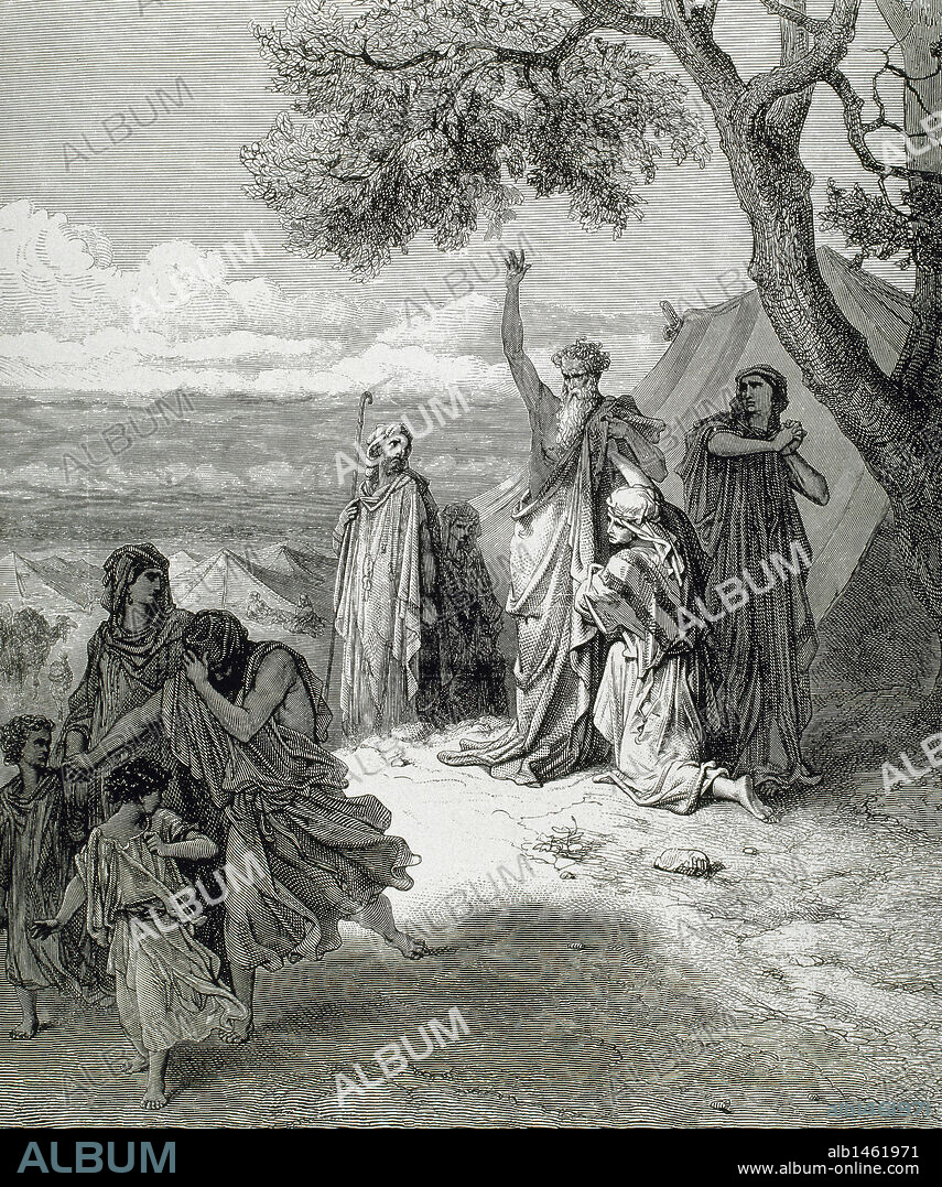 ANTIGUO TESTAMENTO. CAM. Hijo de Noé. (Génesis 9, 20-27). Grabado.