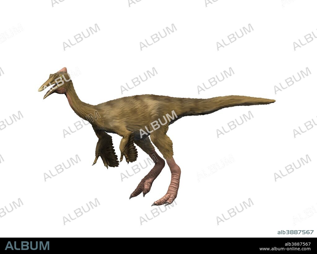 Pelecanimimus polydon, Early Cretaceous of Spain.