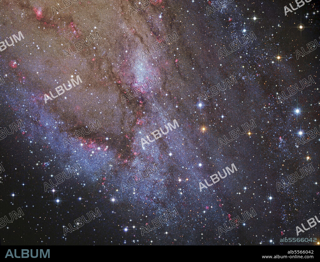 The southwest spiral arm of Messier 31.