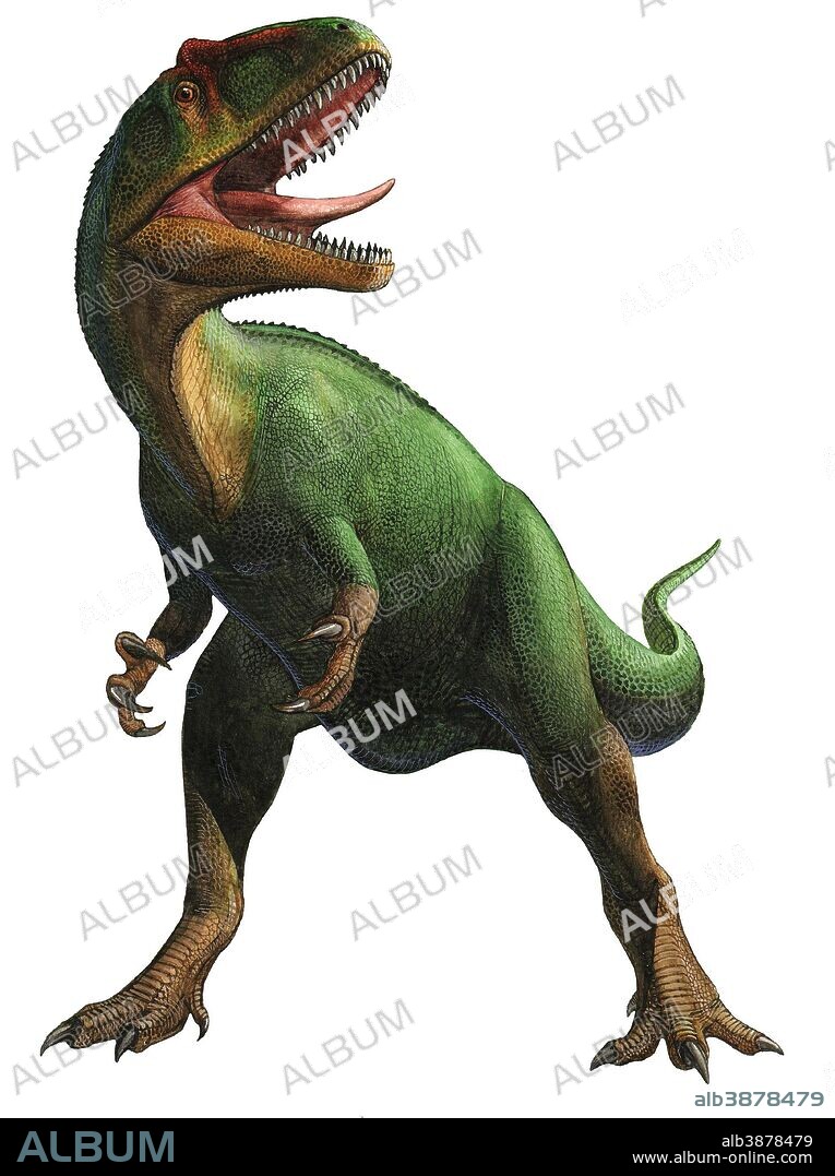 Saurophaganax maximus, a prehistoric era dinosaur from the Late Jurassic period.