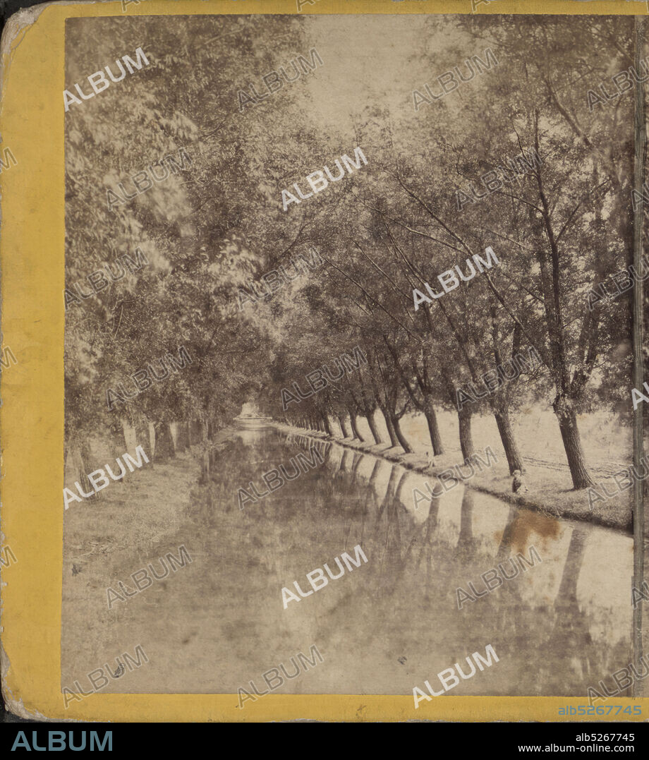 Willow Avenue, Cascadilla Creek., 1865?1880?, New York (State), Ithaca (N.Y.).