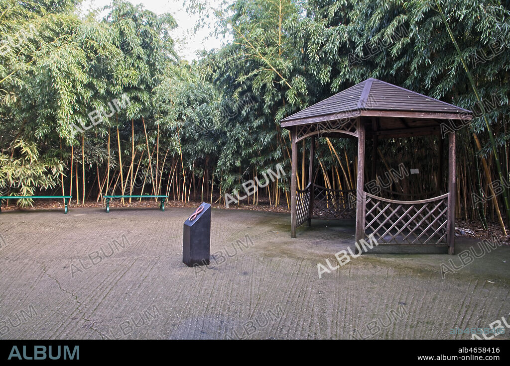 Fontanellato, Labirinto della Masone, by Franco Maria Ricci: one corner in the labyrinth with bamboo plants.
