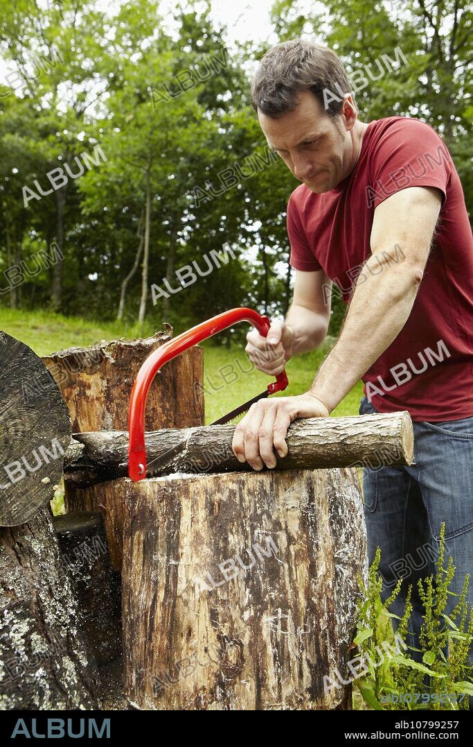 Bow saw to cut wood, hand tool, farming, Guipuzcoa, Basque Country, Spain.
