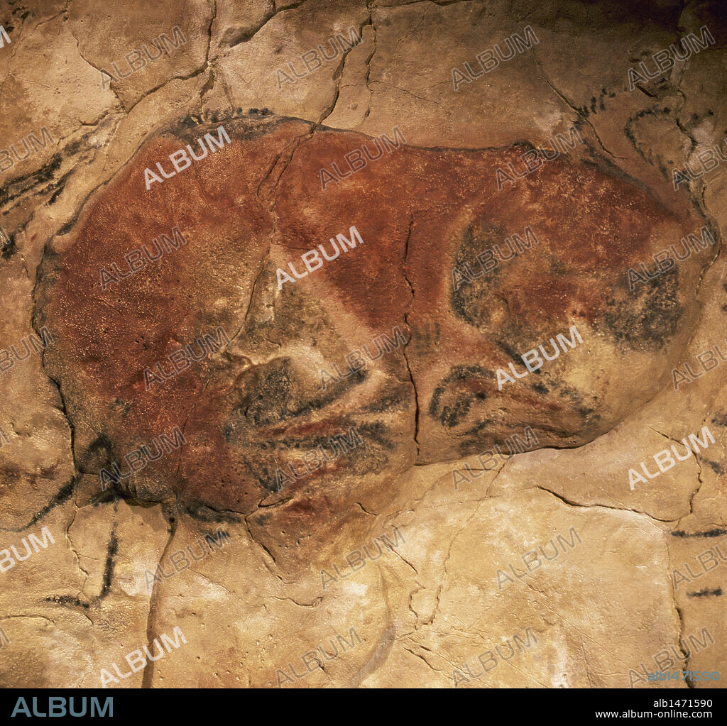 ARTE PREHISTORICO. ESPAÑA. CUEVA DE ALTAMIRA. Descubierta en 1879 por Marcelino de Sautuola, cerca de Santillana del Mar. Detalle de una de las pinturas palietales con la representación de un BISONTE en actitud de ataque. PALEOLITICO SUPERIOR (35.000-10.000 a.C.). Cantabria.