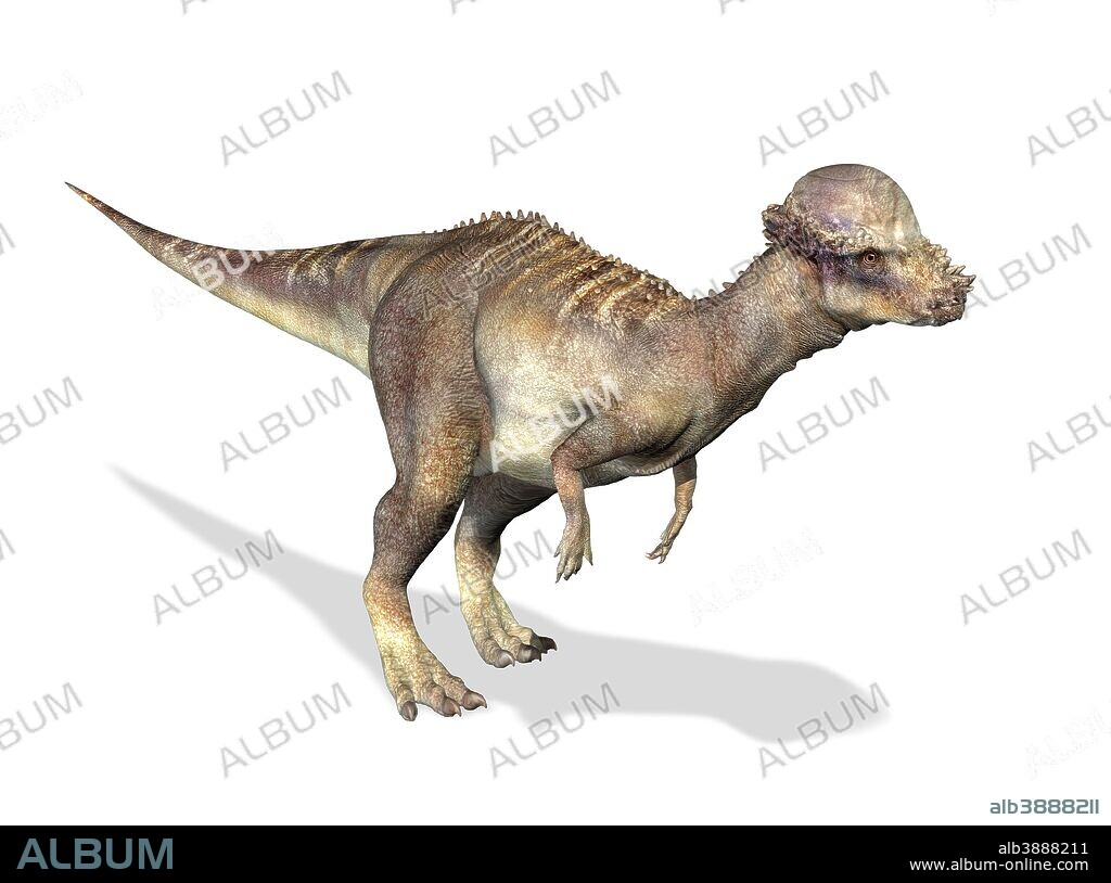 3D rendering of a Pachycephalosaurus dinosaur.