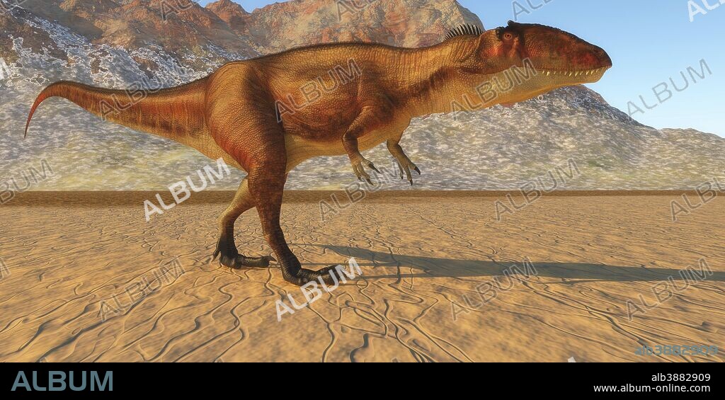 Carcharodontosaurus was a carnivorous theropod dinosaur that lived in the Sahara region of Africa in the Cretaceous Period.