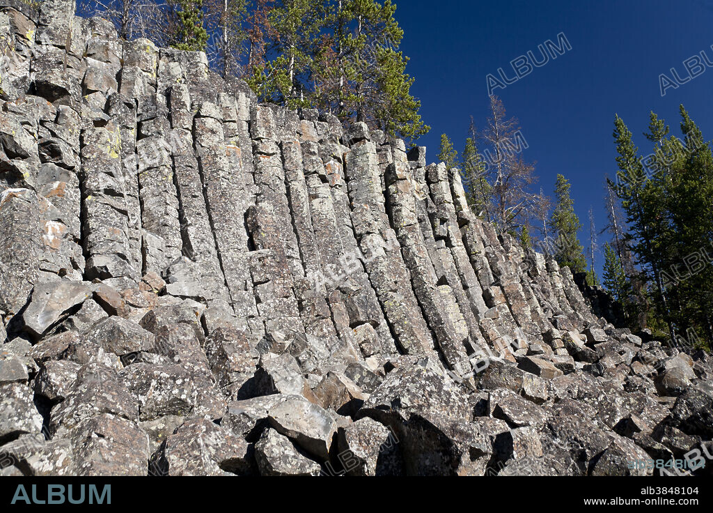 Sheepeater Cliff (columnar basalt), Yellowstone National Park, Wyoming.