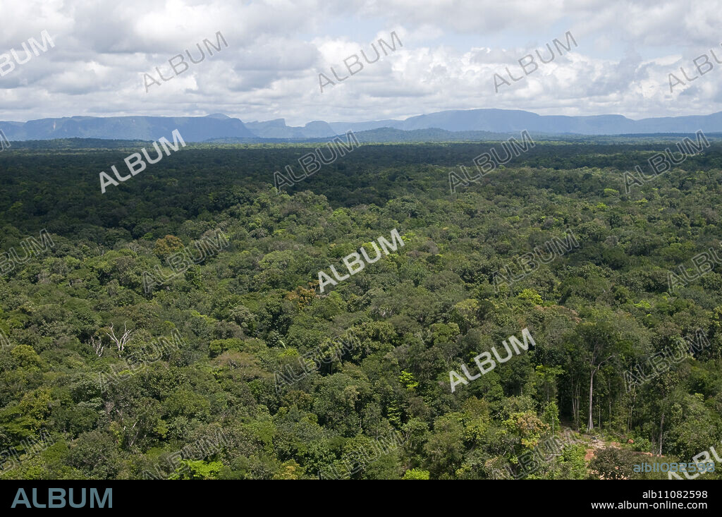 Aerial view over the rainforest of Guyana, South America.