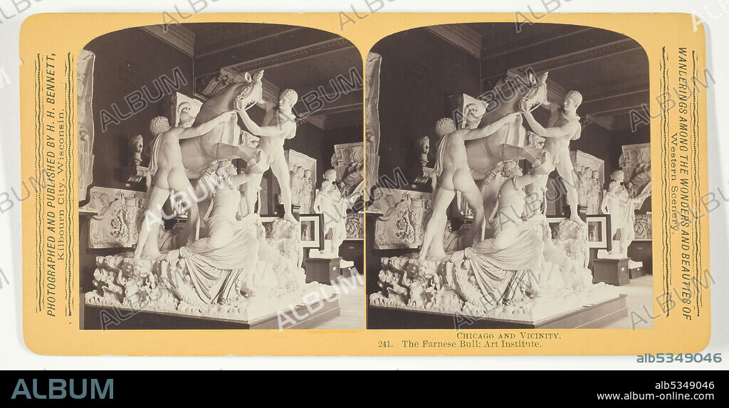 HENRY HAMILTON BENNETT. The Farnese Bull; Art Institute, 1893. Albumen print, stereo, from the series "Chicago and Vicinity".