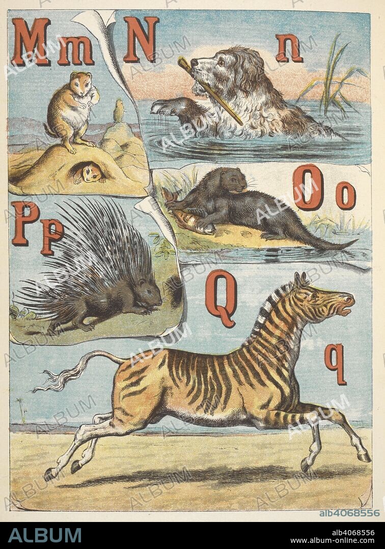 Letters M, N, O, P, and Q. M for Marmot; N for Newfoundland dog; O for Otter; P for Porcupine and Q for Quagga. The alphabet of animals / by Ernest Griset. London : Frederick Warne & Co., [1883] Emrik and Binger [Printers]. Source: 12805.l.45.(19).
