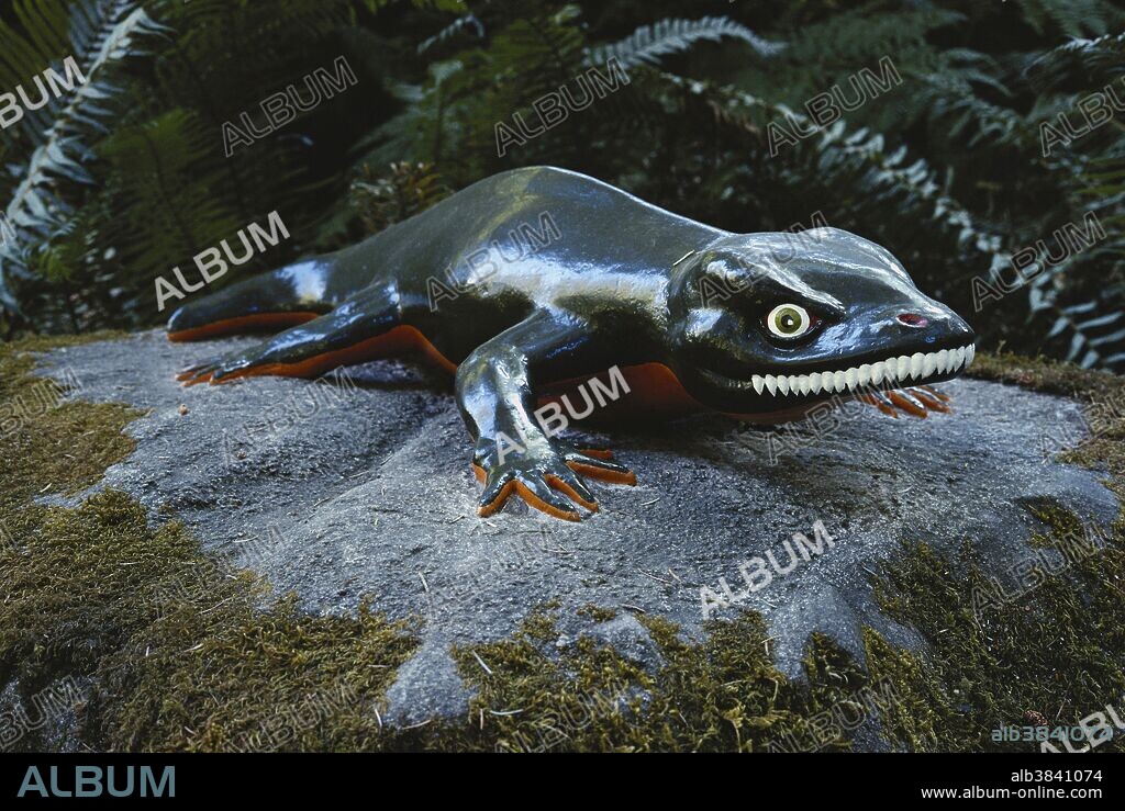 A reconstruction of Seymouria, an early Permian "missing link" between amphibians and reptiles, in the Prehistoric Gardens near Port Orford, Oregon.