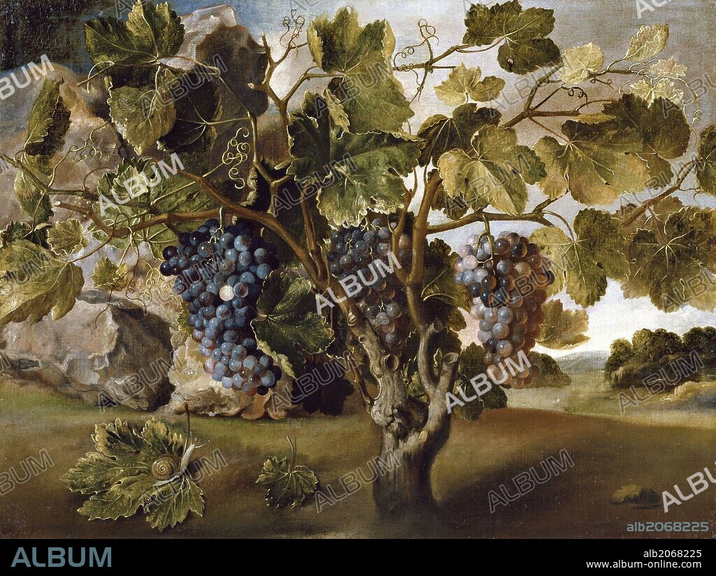 TOMÁS YEPES. Tomás Hiepes / 'Landscape with a Grapevine', 17th century, Spanish School, Oil on canvas, 67 cm x 90 cm, P07915.