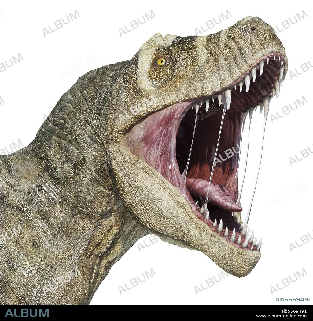 T-rex head with open mouth, isolated on white background.