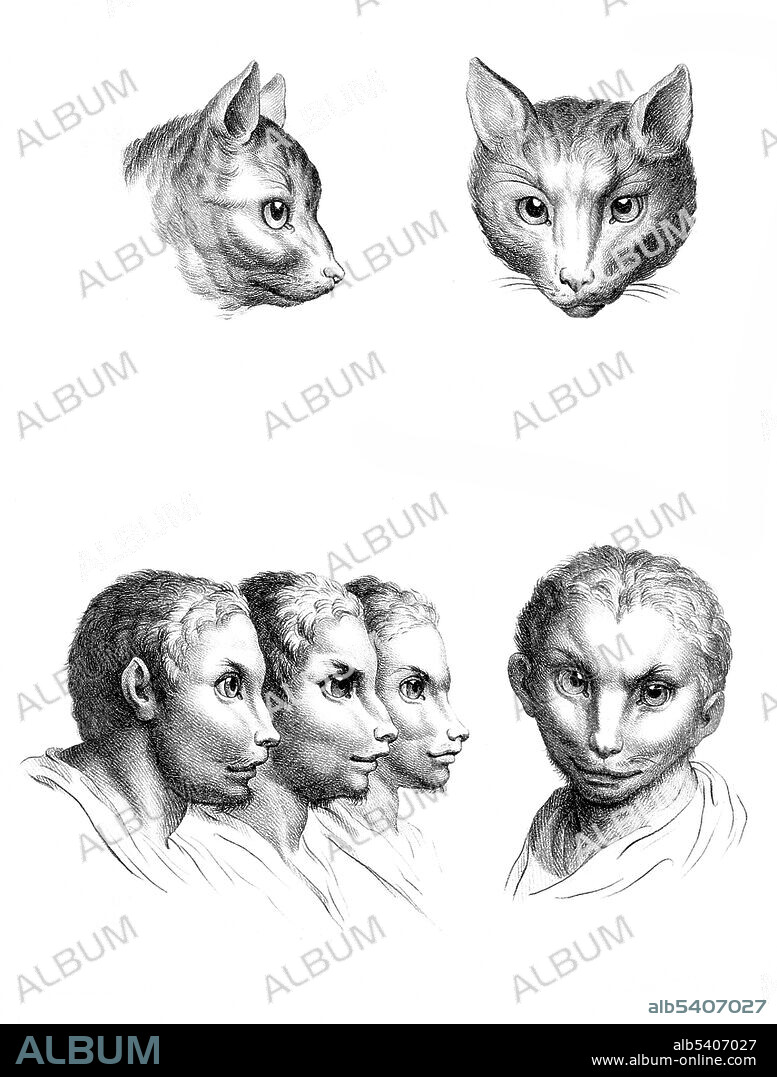 The goal of physiognomy is to judge character according to features of the face. Charles Le Brun (February 24, 1619 - February 12, 1690) was a French painter, art theorist, interior decorator and court painter to Louis XIV. Deeply influenced by the work of Descartes's Passions of the Soul (1649) Le Brun’s sketches of human faces (with anthropomorphic renderings of their animal inspirations) display the way in which he measured the various angles and spaces of the human face to relate them to the brain’s pineal gland (location of the soul according to Descartes). By observing these angles, Le Brun was able to discern personality traits from each of his figures.