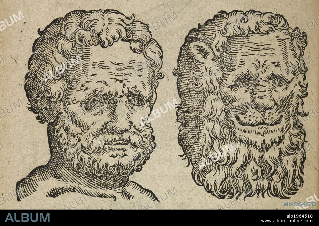 Bearded man's head and lion's head Comparing man and animal heads.A physiognomy book from the 16th century. Physiognomy  assessment of a person's character or personality from their outer appearance, especially the face. Comparing man and animal heads. De Humana Physiognomonia ... libri IIII. Apud G. Antonium: HanoviÃ¦, 1593. De Humana Physiognomonia ... libri IIII., qui ab extimis, quÃ¦ in hominum corporibus conspiciuntur signis ita eorum naturas, mores et consilia (egregiis ... iconibus) demonstrant, ut intimos animi recessus penetrare videantur ... Nunc ... emendati ... Cum duplici ... indice, etc. Source: 1141.a.2 210. Language: Latin.