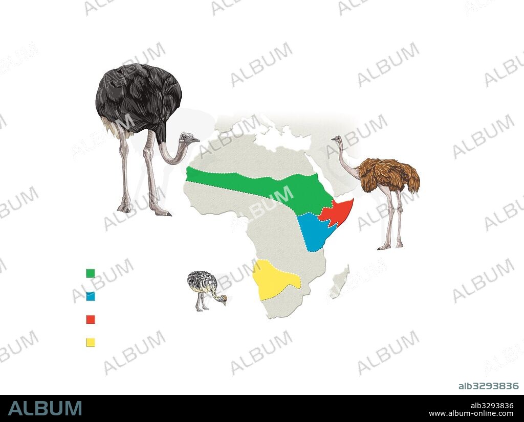 Distribución geográfica del avestruz.