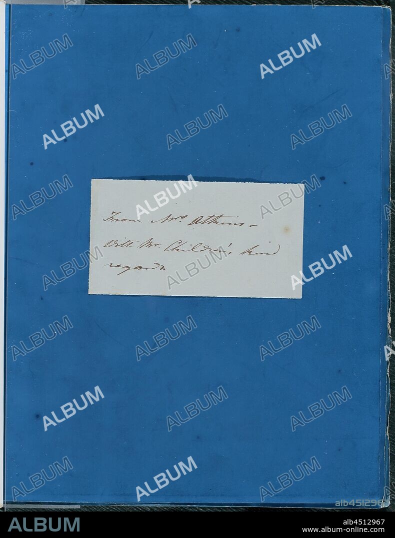 Anna Atkins, English, 1797-1871, Book of Photographs of British Algae, 1843 or 1844, cyanotype, Overall (open volume): 11 × 8 5/8 inches (28 × 22 cm).