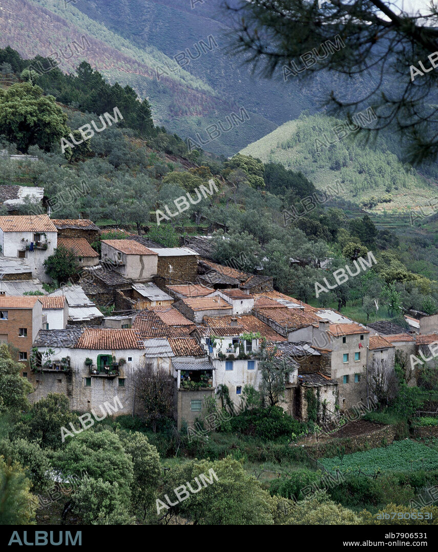 PANORAMICA DE AVELLANAR EN LA COMARCA DE LAS HURDES.