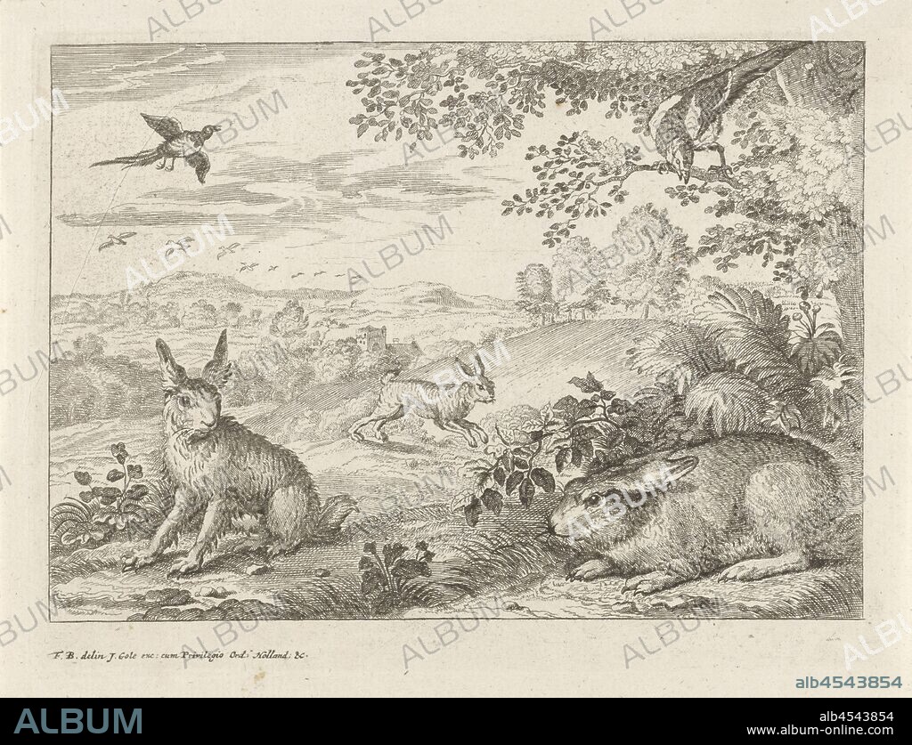 Three hares and two magpies in a landscape Different animals (series title), A landscape with three hares in the foreground. A magpie in a tree. A second magpie is flying in the sky. The print is part of a series with different animals as subject, rodents: hers, song-birds: magpie, dale, valley, Jacob Gole, Amsterdam, 1680 - 1723, paper, etching, h 135 mm × w 180 mm.
