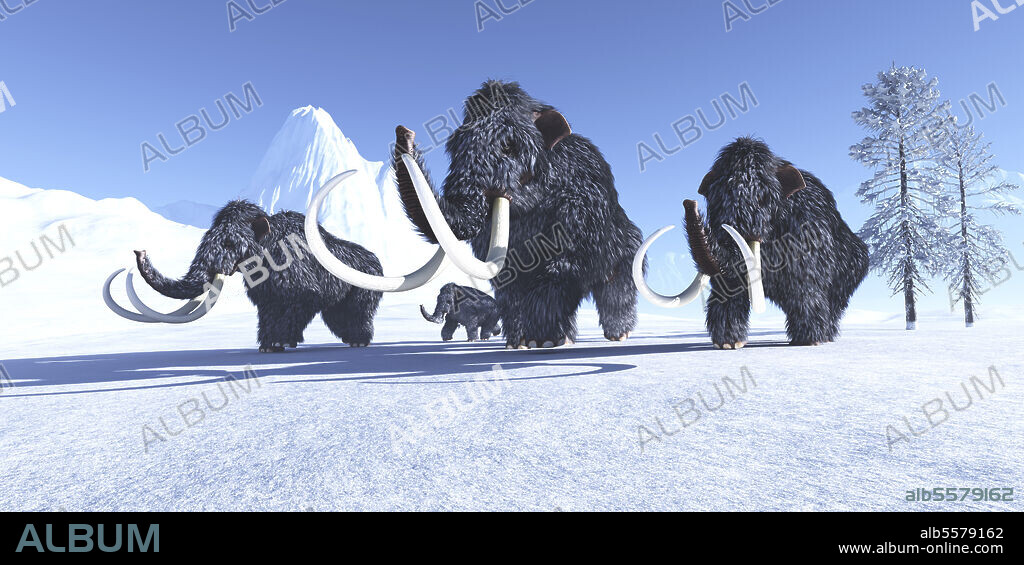 A herd of woolly mammoths make their way across the frozen snow to a warmer climate.