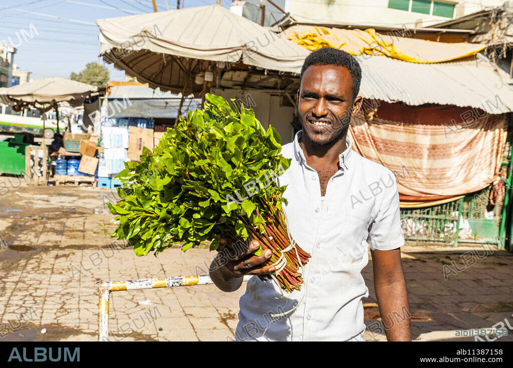Man selling Khat (Qat), a local drug, Hargeisa, Somaliland, Somalia, Africa.