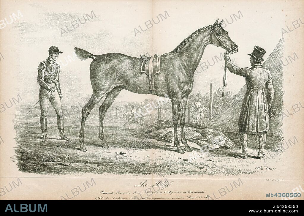 Equus caballus, Print, The horse (Equus ferus caballus) is one of two extant subspecies of Equus ferus. It is an odd-toed ungulate mammal belonging to the taxonomic family Equidae. The horse has evolved over the past 45 to 55 million years from a small multi-toed creature, Eohippus, into the large, single-toed animal of today. Humans began domesticating horses around 4000 BC, and their domestication is believed to have been widespread by 3000 BC. Horses in the subspecies caballus are domesticated, although some domesticated populations live in the wild as feral horses. These feral populations are not true wild horses, as this term is used to describe horses that have never been domesticated, such as the endangered Przewalski's horse, a separate subspecies, and the only remaining true wild horse. There is an extensive, specialized vocabulary used to describe equine-related concepts, covering everything from anatomy to life stages, size, colors, markings, breeds, locomotion, and behavior., 1700-1880.