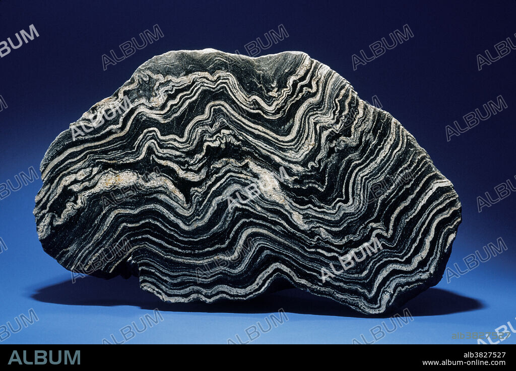 Schist is a metamorphic rock that displays a foliated (folded) texture as a result of intense pressure that causes alignment of platy minerals. Metamorphism, intense heat and pressure, causes the rearranging or recrystallization of components in a rock, to create a new rock with new minerals. These forces also bend and crumple rocks in a characteristic way, well illustrated by the metamorphic rock known as schist.