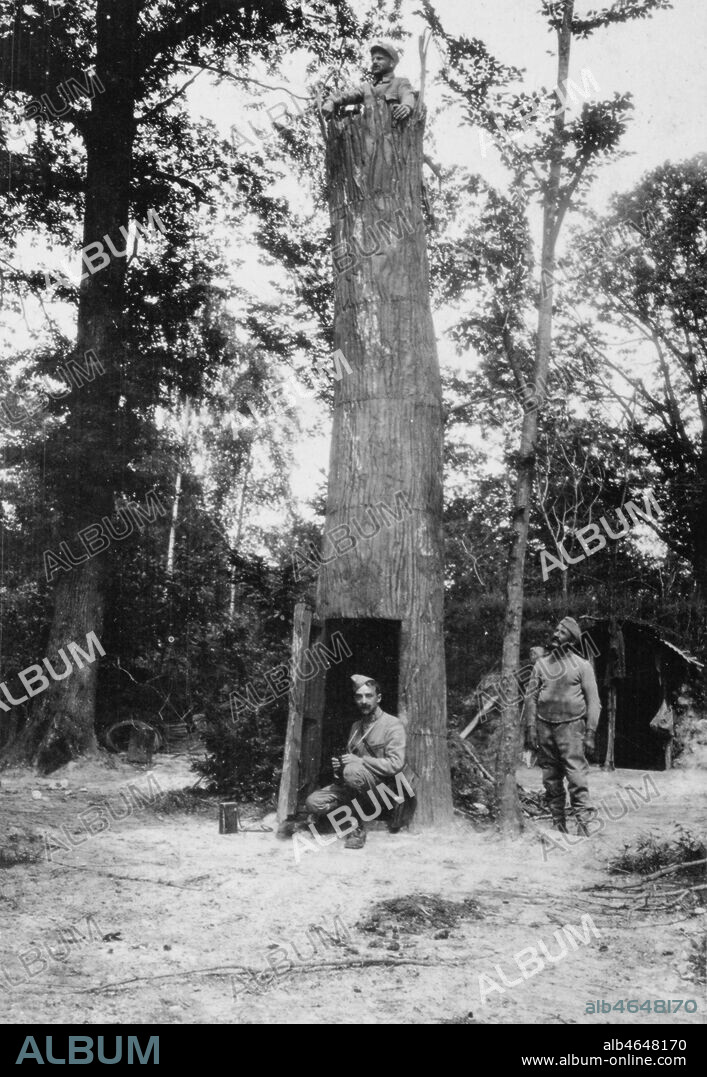 Faux arbre servant d'observatoire lors de la premiere guerre mondiale en Lorraine. Photographie anonyme entre 1914 et 1918. Credit : Collection IM/KHARBINE-TAPABOR.