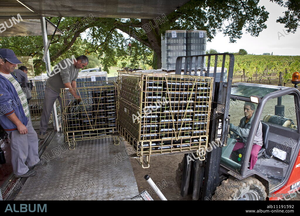 Wine bottling truck with mobile bottling line at Chateau Fontcaille Bellevue vineyard in Bordeaux region of France.