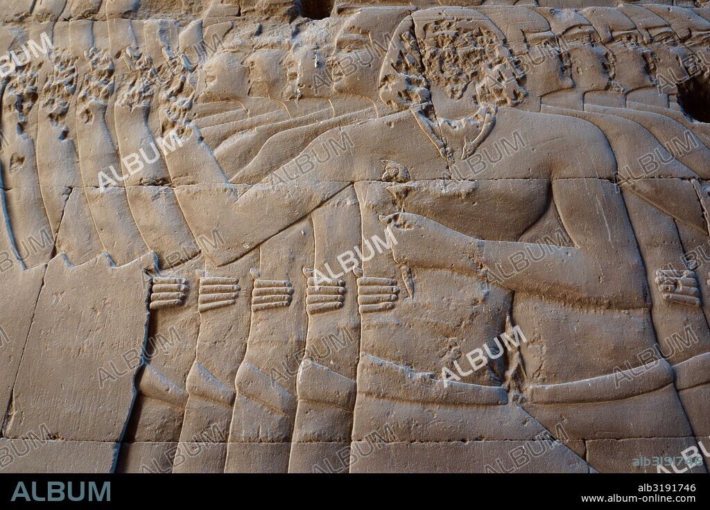 El Templo de Edfu está ubicado en la ciudad de Edfu (Egipto), que durante el periodo grecorromano fue conocida como Apolinópolis Magna, dedicada al dios de los dioses, Horus-Apolo.