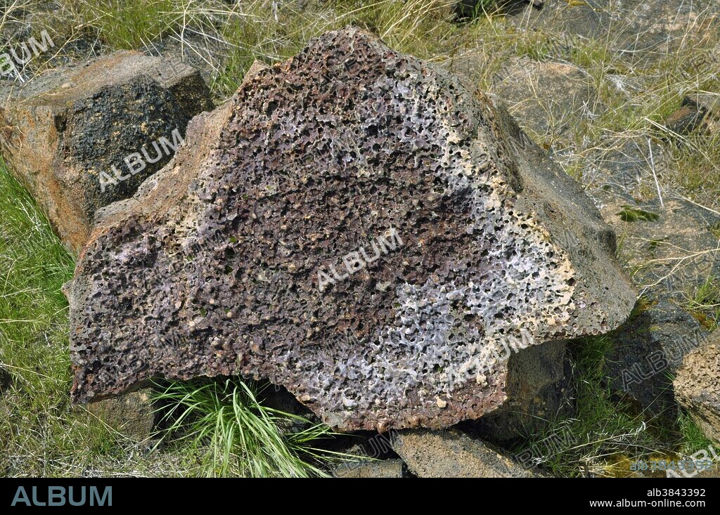 Vesicular basalt at Diamond Craters Outstanding Natural Area; Oregon, USA. Compare with closeup.